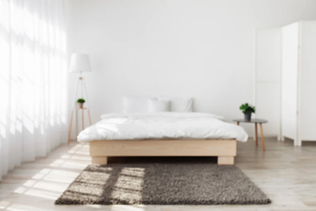 Rental Cleaning Service